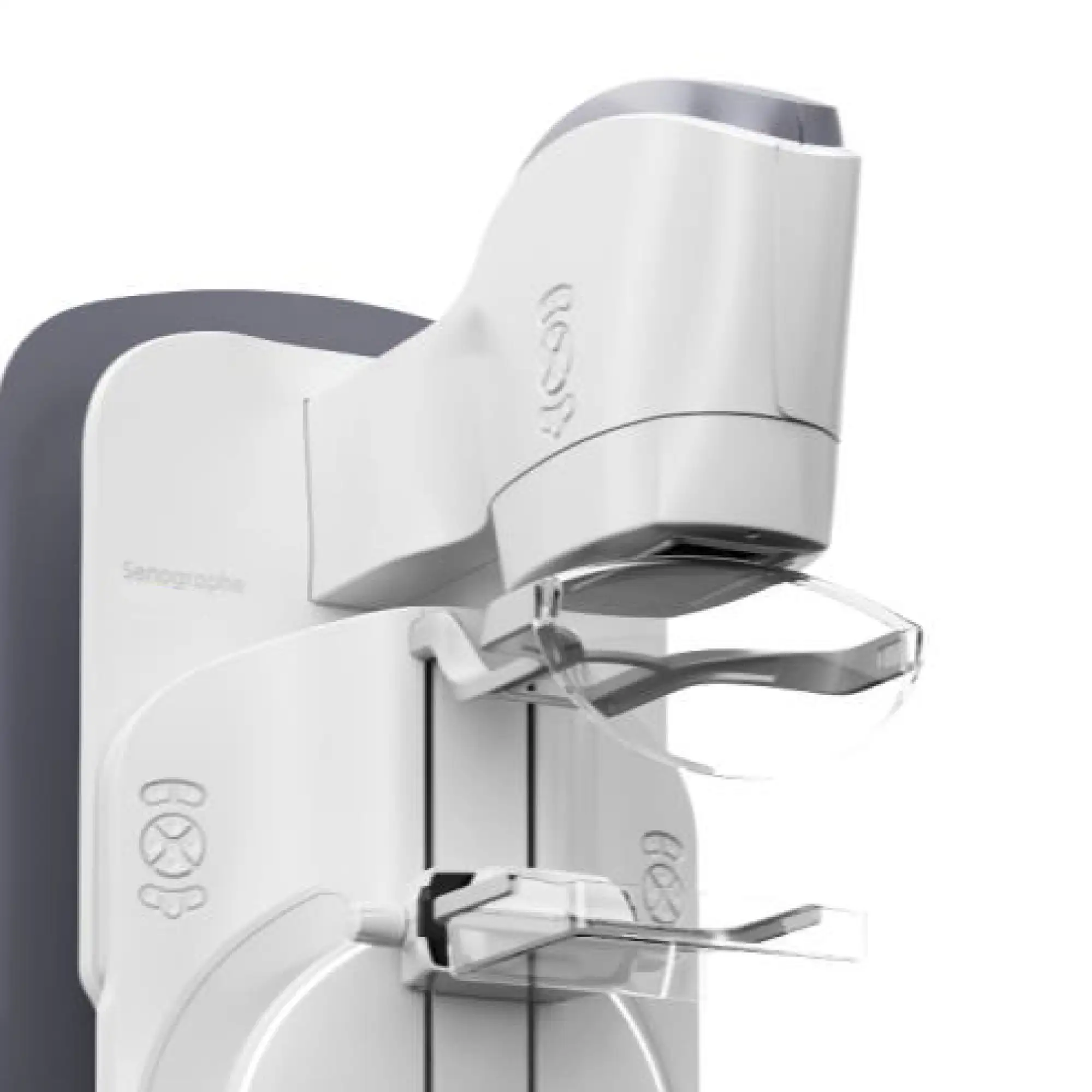 Un gantry atractivo como una pieza de arte